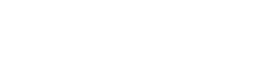 Aus Studies logo